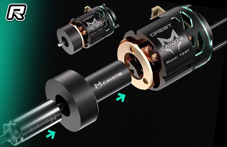 Ferramenta de instalação do rotor do motor de competição Cayote 1:10